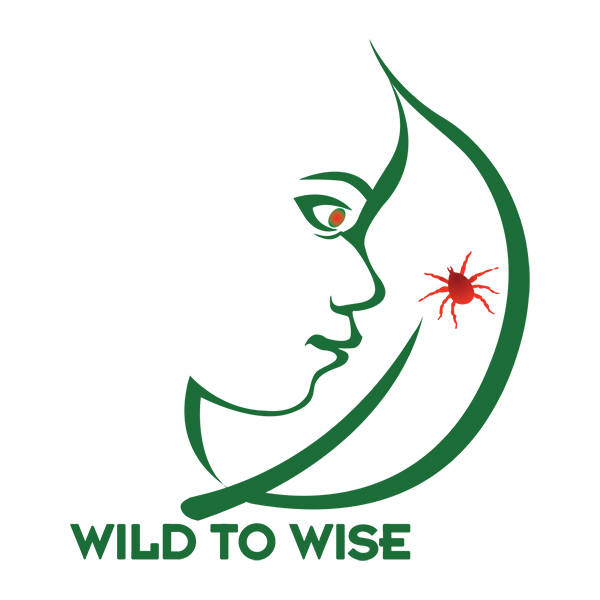 Wild To Wise